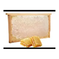 764103 Bienen Wabenhonig.jpeg