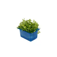 391801 Kresse Motti.jpeg
