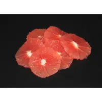 158503 Grapefruit Scheiben.jpeg
