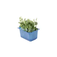393801 Kresse Lupine.jpeg