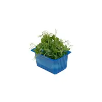 390301 Afilla Kresse.jpeg